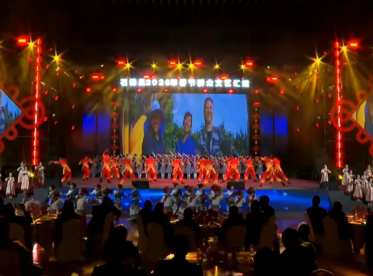 ʯ����2026�괺��Ⱥ�����ջ��ݾ�������